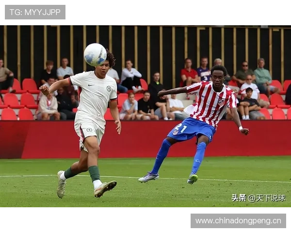 特温反击效率飙升，球队表现稳健令人关注